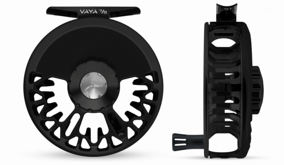Abel Vaya Reel