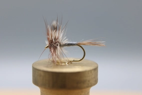 Adams Dry