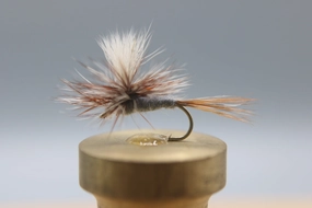 Adams Parachute Dry