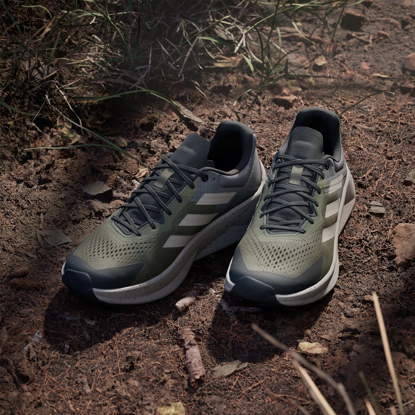 Cushioned Insoles Adidas Terrex Soulstride Flow Trail Running Shoe Olive Strata / Wonder Beige / Charcoal