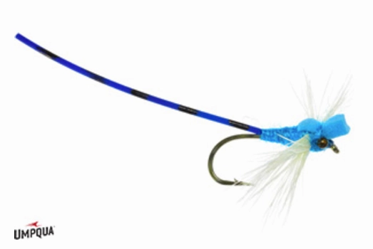Adult Wiggle Damsel