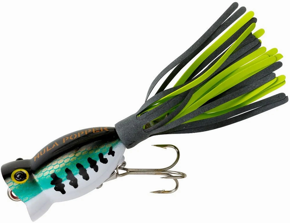 Arbogast Hula Popper Topwater Popper