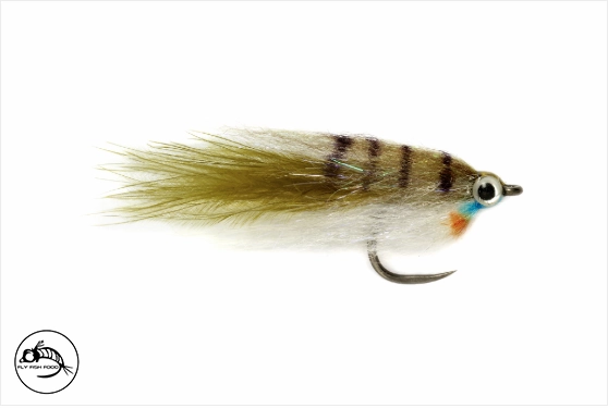 Baby Fat Minnow - Size 8