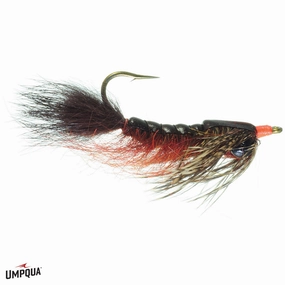 Barry's Carp Fly Size 06