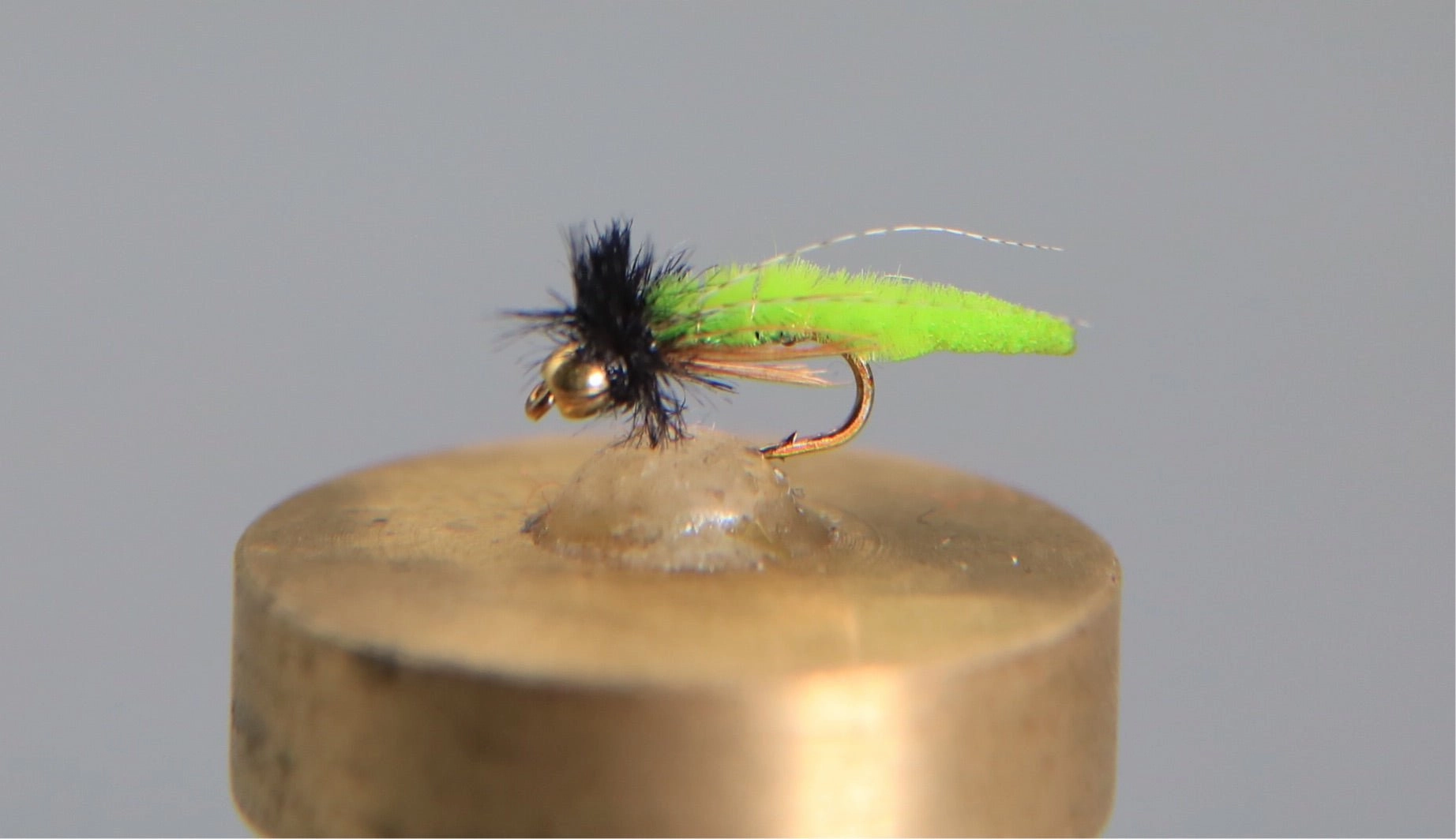 Bead Head Caddis Poopah