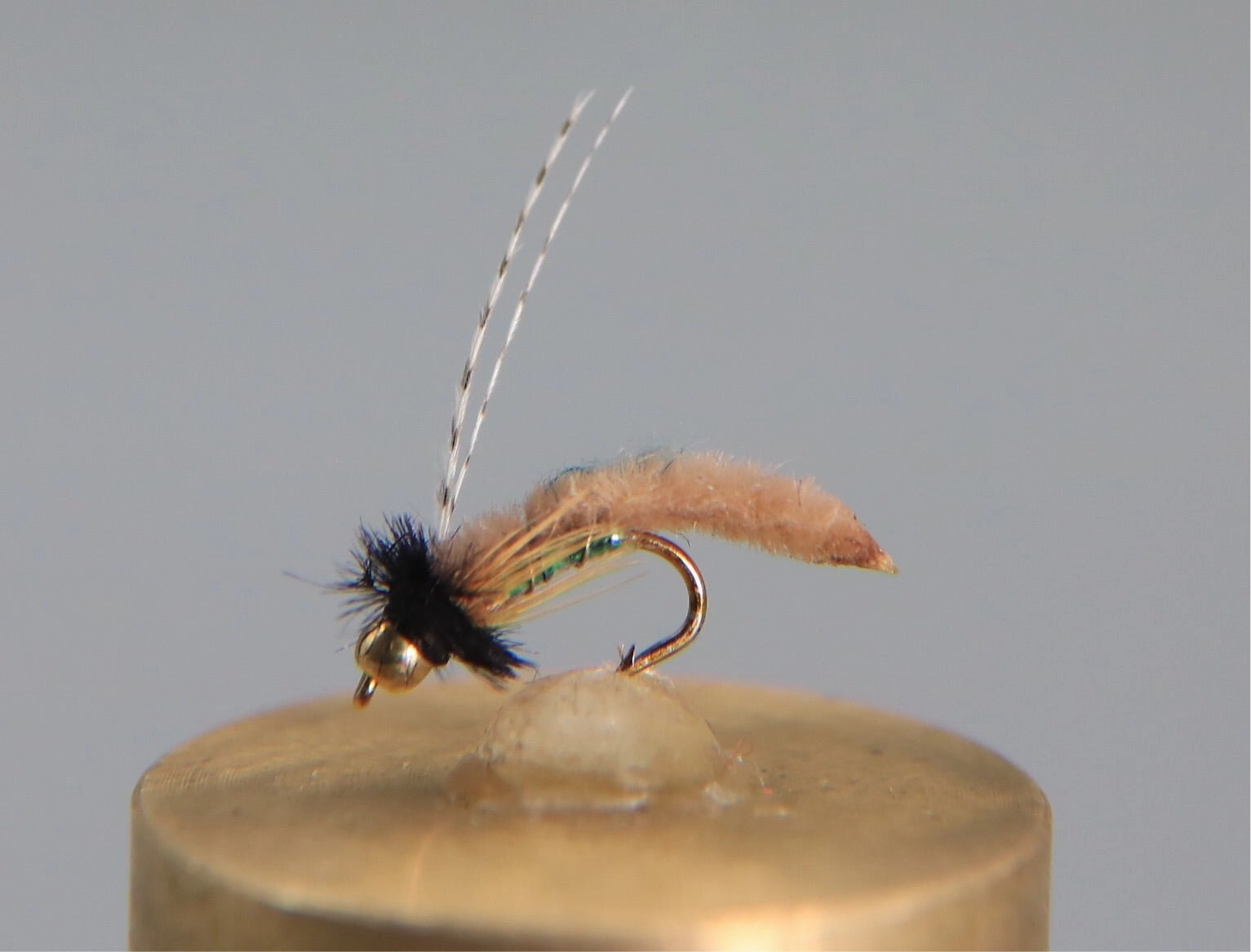 Bead Head Caddis Poopah