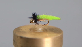 Bead Head Caddis Poopah