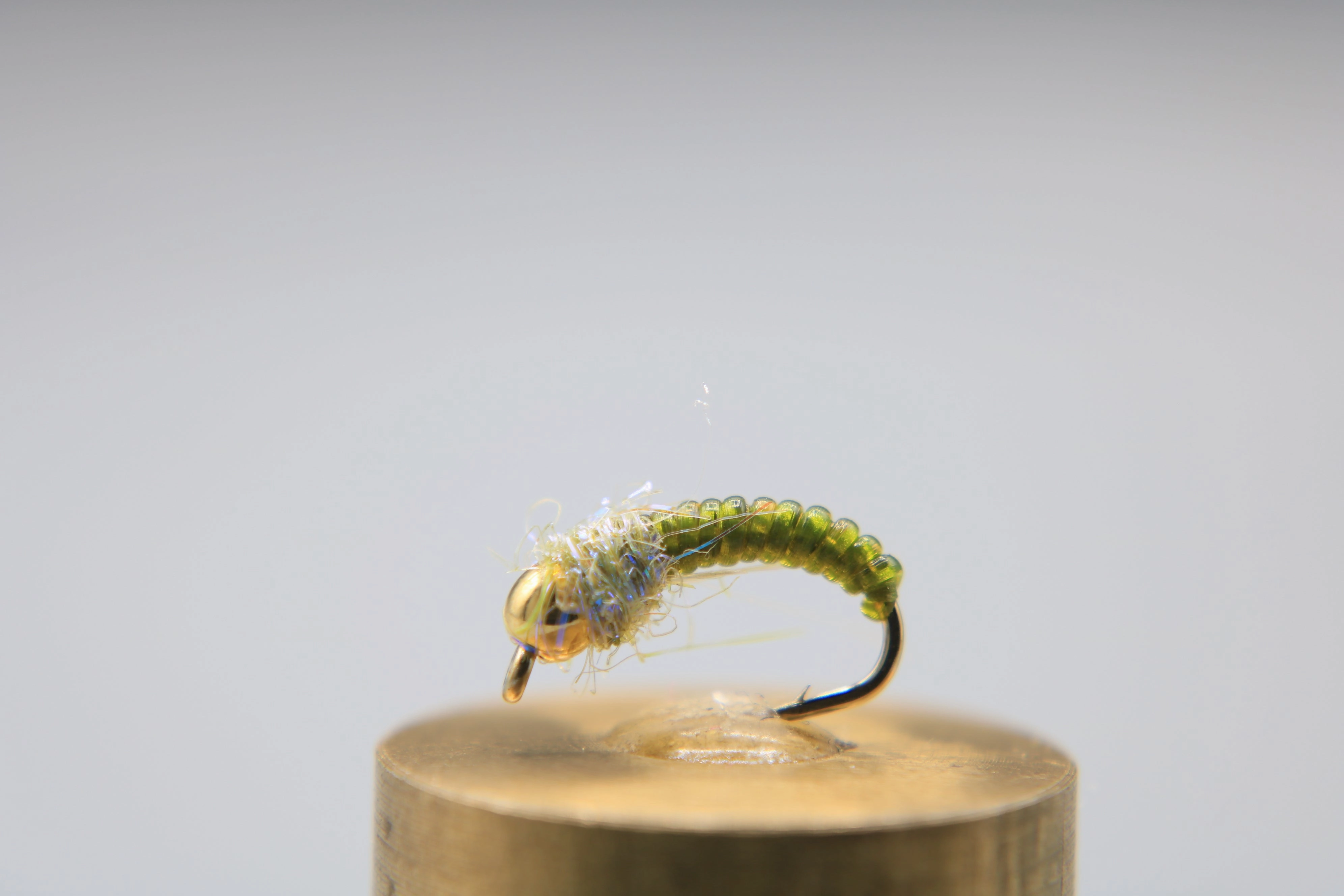 Bead Head Caddis Pupa - Vinyl Rib