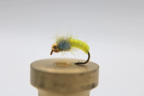 Bead Head Caddis Pupa - Vinyl Rib