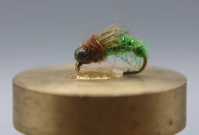 Bead Head Caddis Pupa