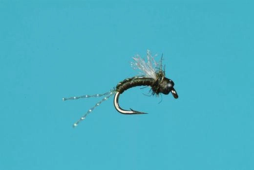 Bead Head Cheeseman Emerger