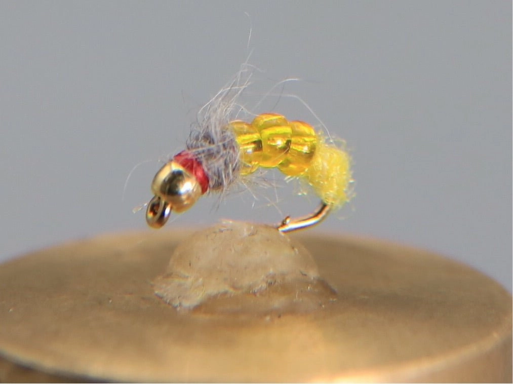 Bead Head Killer Caddis