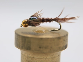 Bead Head Pheasant Tail Flashback