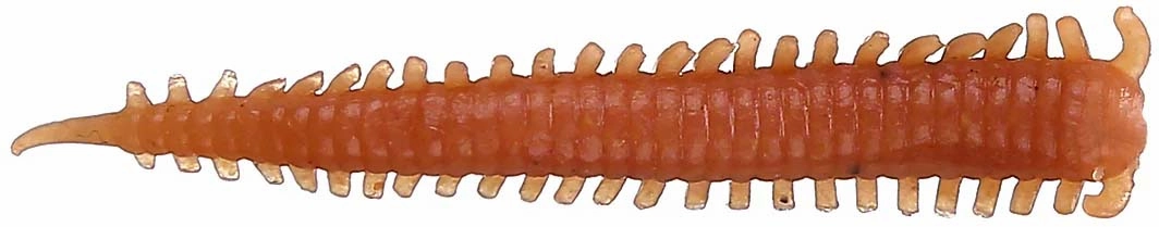 Berkley Gulp! 2 inch Scented Saltwater Plastic Sandworm 24 pack