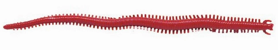Berkley Gulp! 6 inch Scented Plastic Sandworm 10 pack