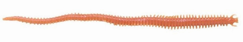 Berkley Gulp! 6 inch Scented Plastic Sandworm 10 pack