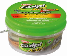 Berkley Gulp! Alive! Minnow Assortment - 3 Inch