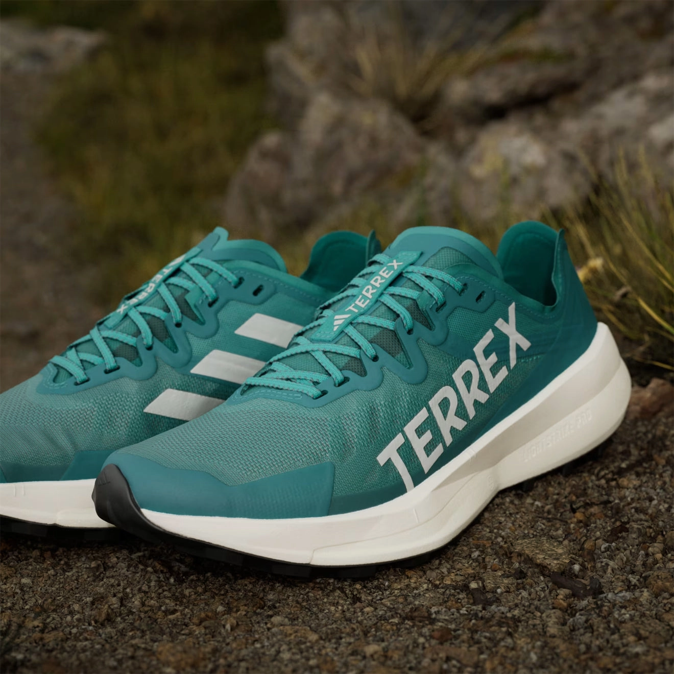 Cushioned Insoles Adidas Terrex Agravic Speed Running Shoe Pure Teal / Grey One / Core Black