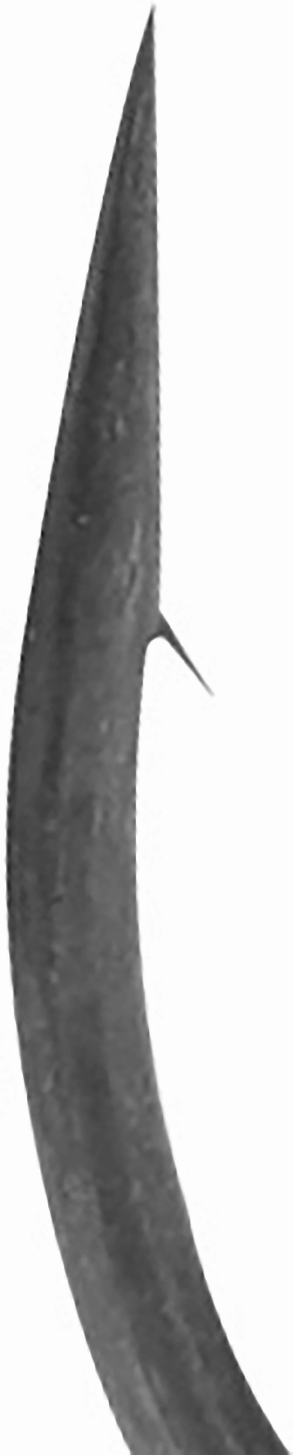 BKK Armor-Point Long Shank Dropshot Hooks