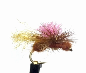 Bloom's Parachute Ant