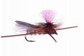 Bloom's Parachute Cricket