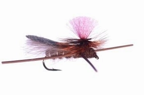 Bloom's Parachute Cricket