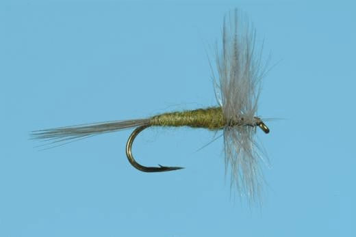 Blue Wing Olive