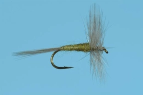 Blue Wing Olive