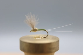 Blue Winged Olive CDC Comparadun Dry