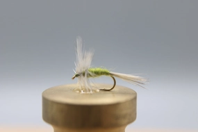 Blue Winged Olive Dry