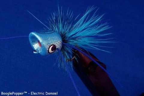 Boogle Bug BooglePopper