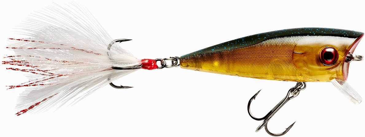 Booyah Prank 2 1/2 inch Topwater Popper