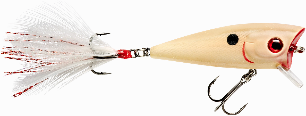 Booyah Prank 2 1/2 inch Topwater Popper