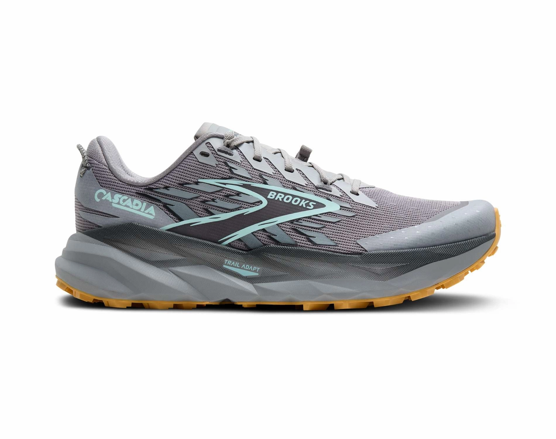 Brooks Cascadia 19 Mens Waterproof Canvas Shoes