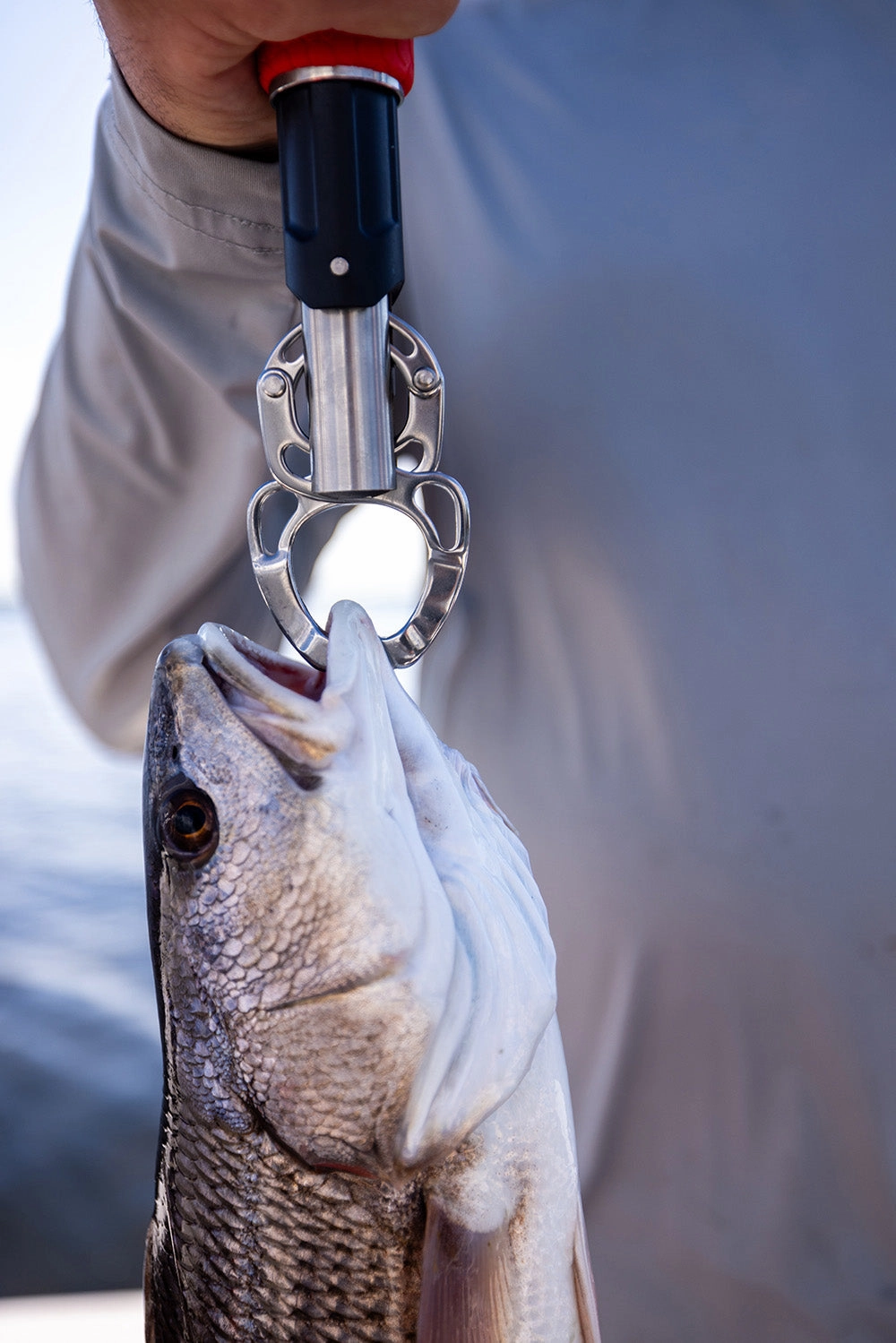 Bubba Fish Lip Grabber & Scale Combo - 60LB Rating