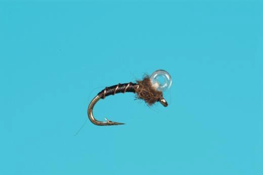 Bubble Back Midge