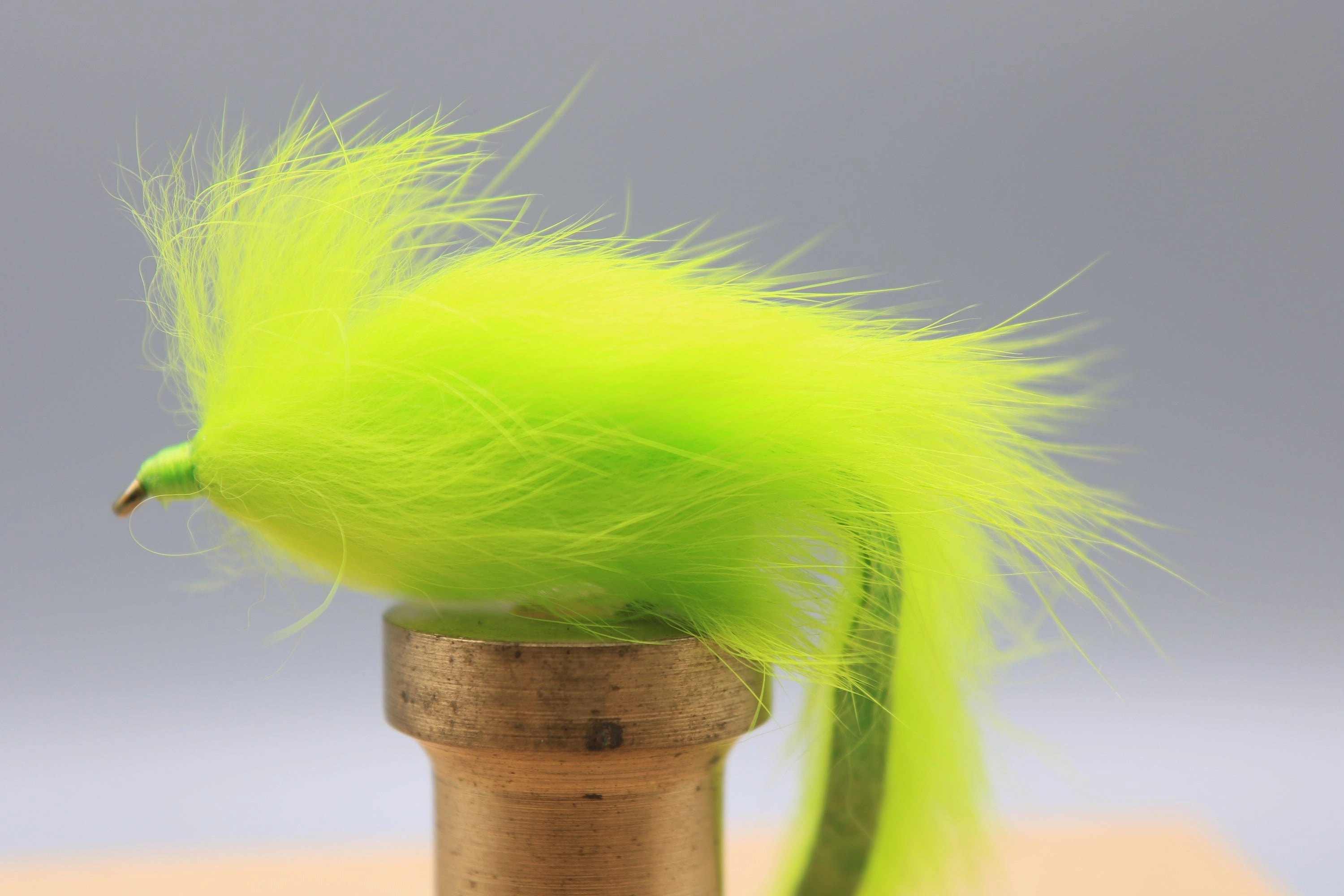 Bunny Leech