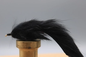 Bunny Leech