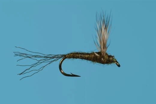 BWO Sparkle Dun