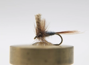 Cahill Dark Dry
