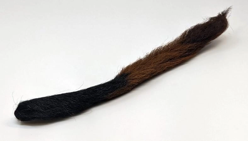 Calf Tail