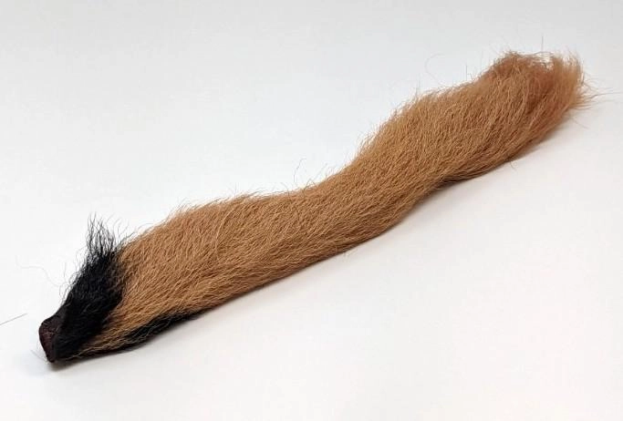 Calf Tail