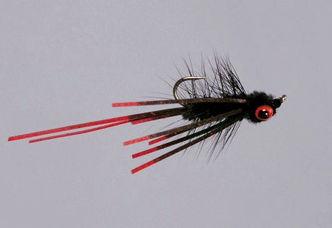 Carp-Tease