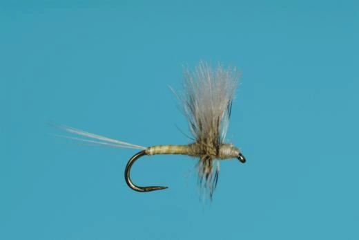 CDC PMD Thorax Dun