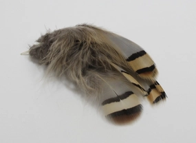 Chuker Partridge - 24 select feathers Natural