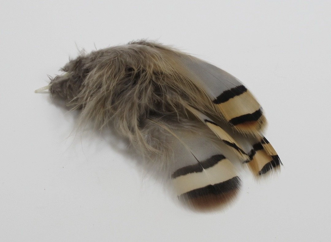 Chuker Partridge - 24 select feathers Natural