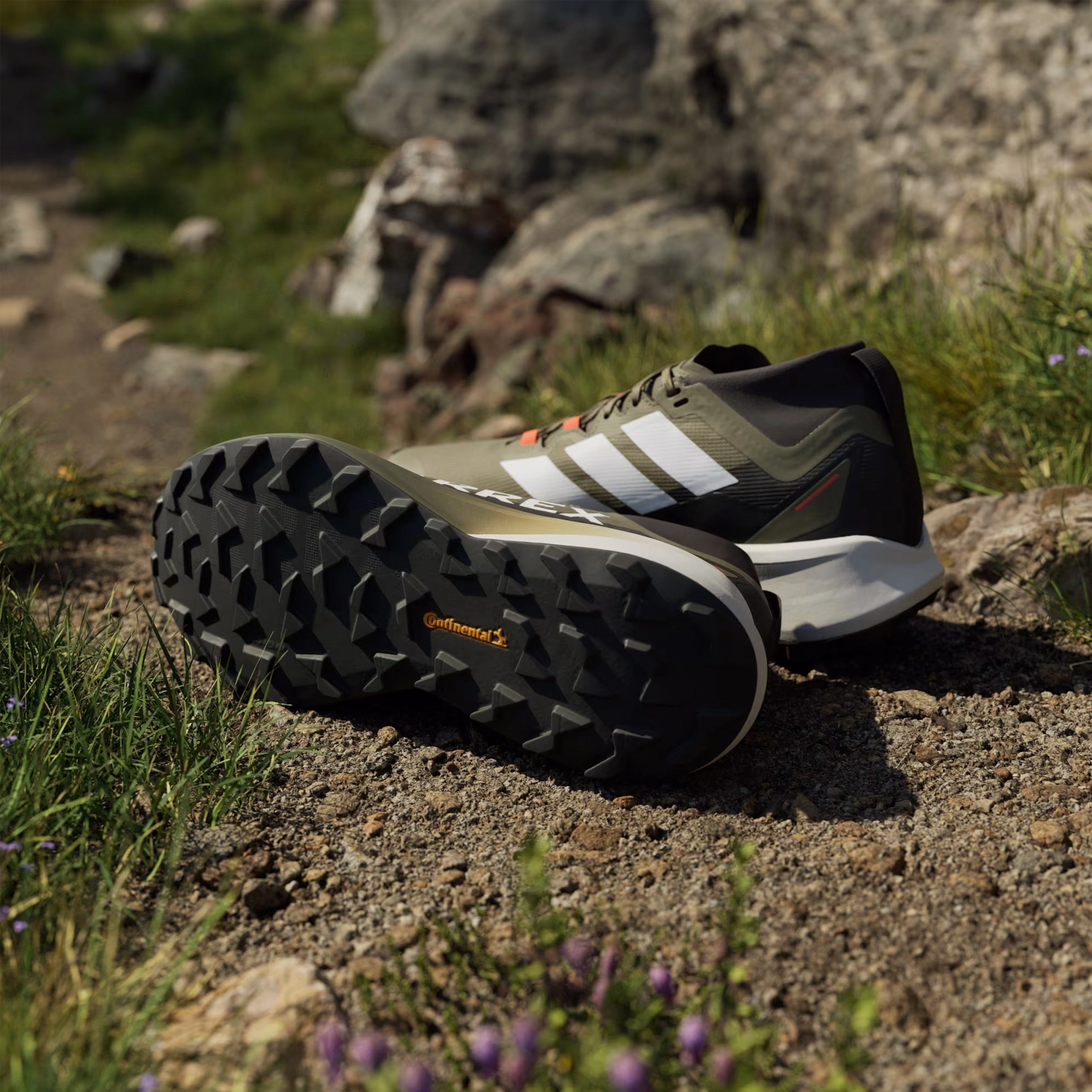 Timeless Adidas Terrex Trail Running Shoes Agravic Black / Green