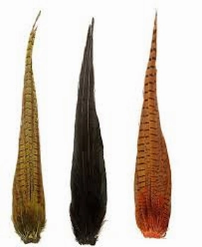Cock Pheasant Complete Tail - Veniard