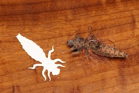 Cohen's Dragon Fly Nymph Body