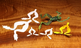 Cohen's Frog Legs